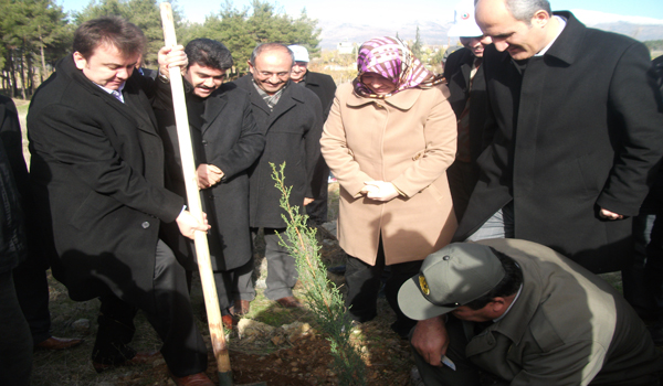 AK KADINLAR ORMANI PROGRAMI