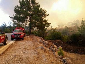 CİĞERLERİMİZ YANDI