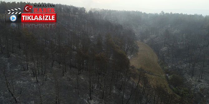 Çanakkale'deki yangının boyutu gün ağarınca ortaya çıktı