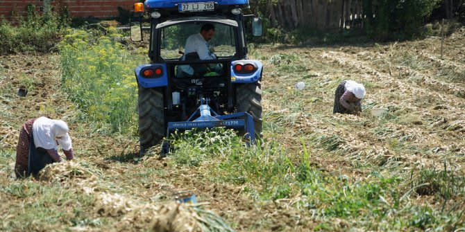 Beyaz altını artık herkes üretemeyecek, satamayacak