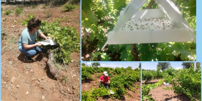 Üretimin Olduğu Her Yerde Varız