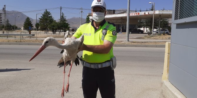 Yaralı leyleğe polis ekiplerinden şefkat eli
