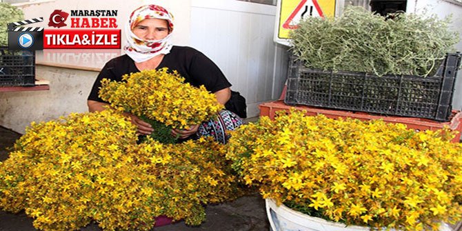 5 liralık şifa kaynağı bin bir türlü hastalığın tedavisinde kullanılıyor