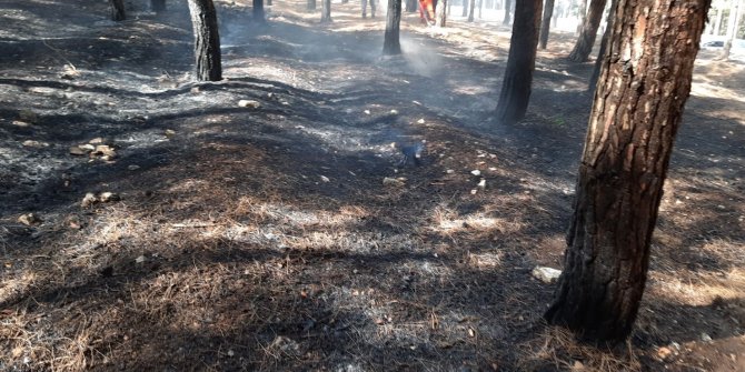 Kahramanmaraş'ta orman alev aldı