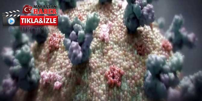 Koronavirüs kalp hastalıklarına neden olabilir