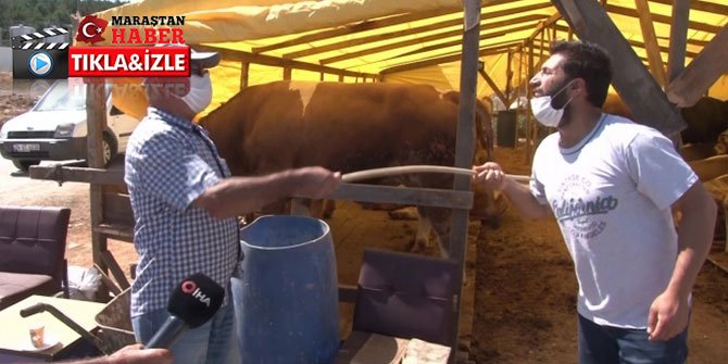 Hayvan pazarlarında sosyal mesafeli pazarlık devam ediyor