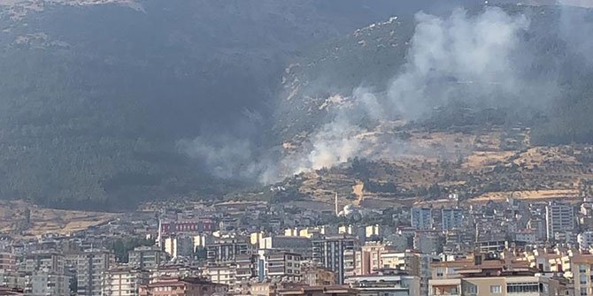 Kahramanmaraş'ta orman yangını!