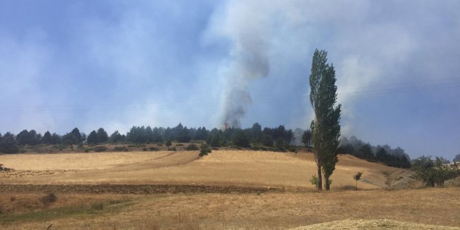 Kahramanmaraş’ta korkutan orman yangını