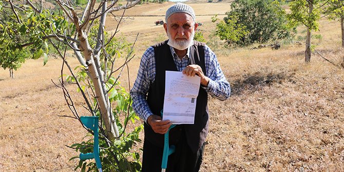 Susuzluktan kuruyan ceviz ağaçları için yetkililerden yardım istedi