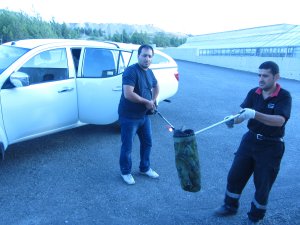 ZARARLI VE HAŞERELERLE MÜCADELE TİMİ