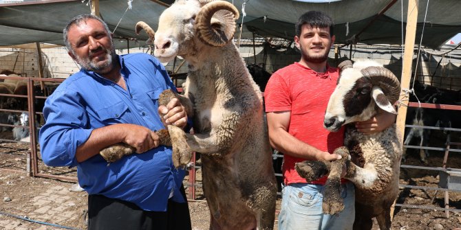 Kahramanmaraş’ta kurbanlıklar yerini aldı