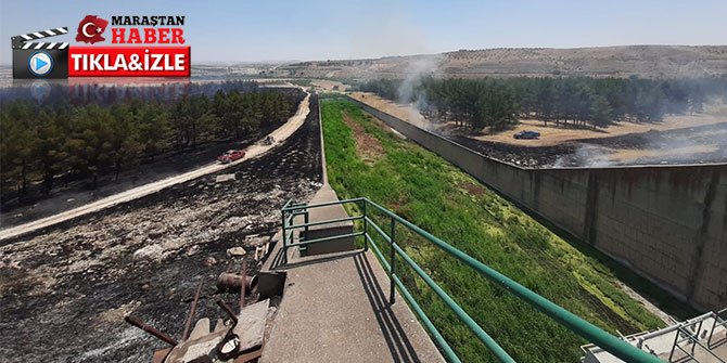 Gaziantep'te korkutan orman yangını
