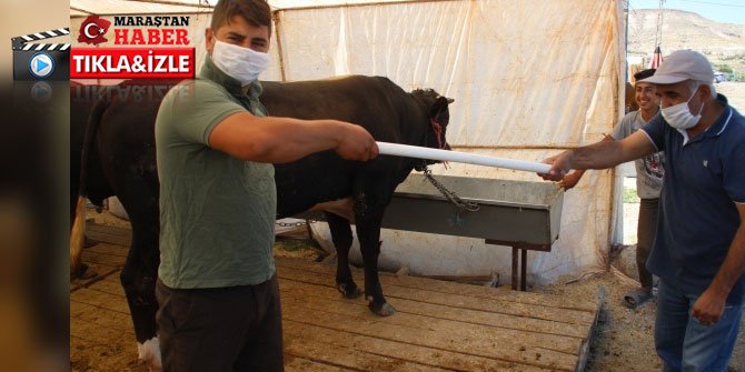 Kurban pazarlarının yeni gözdesi: Pazarlık borusu