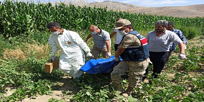 Kayıp olan engelli vatandaşın cesedi ayçiçeği tarlasında bulundu