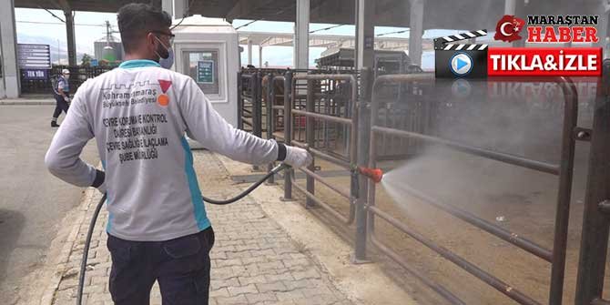 K.Maraş’ta kurban satış ve kesim yerlerinde dezenfekte çalışmaları