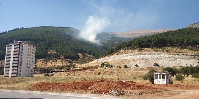 Kahramanmaraş'ta bir orman yangını daha