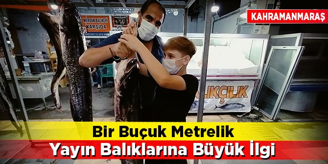 Kahramanmaraş'ta bir buçuk metrelik yayın balıklarına büyük ilgi