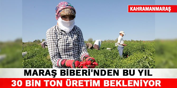 Maraş Biberi'nden bu yıl 30 bin ton üretim bekleniyor