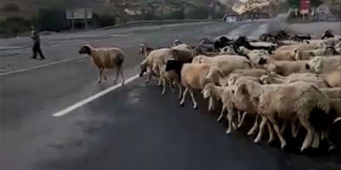 Kayseri-Kahramanmaraş karayolunda besicinin hız ve alt geçit isyanı