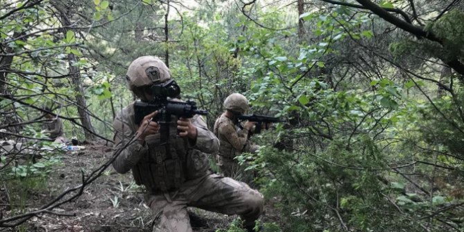 Yıldırım-5 Amanoslar Operasyonu başladı