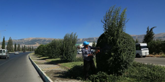 KMBB yeşil alan bakım çalışmalarına devam ediyor