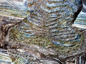 KAHRAMANMARAŞ'TA SOMA TEHLİKESİ