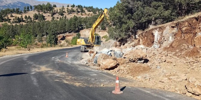 Bertiz’de yol genişletme çalışmaları başladı