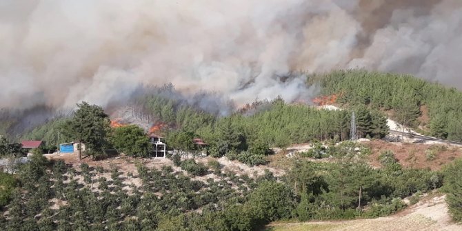 Adana'daki yangında zarar gören aileler için 1 milyon TL kaynak!
