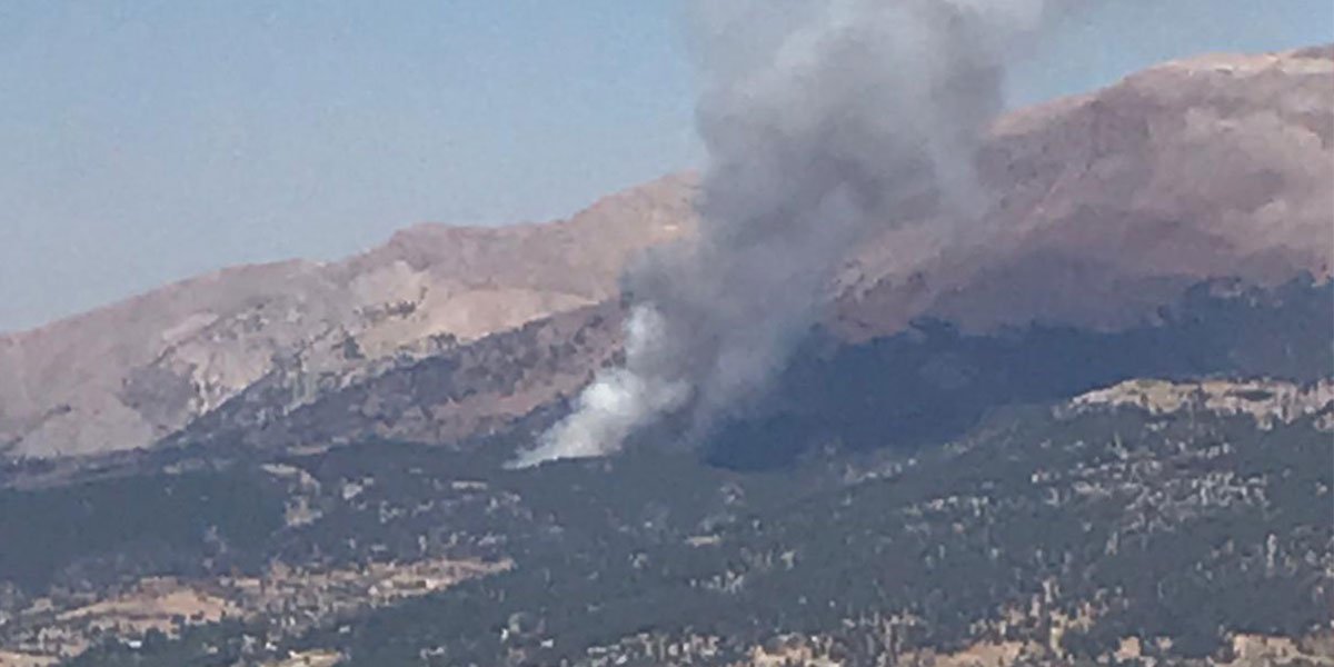 Kahramanmaraş Bertiz Ağabeyli'de orman yangını