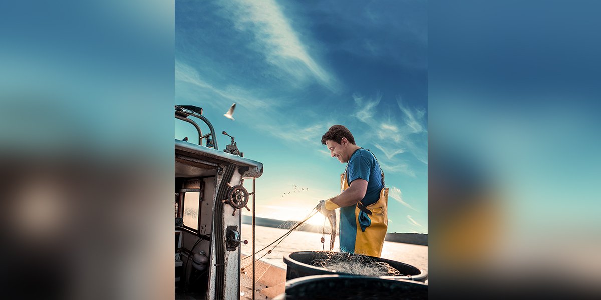 Balıklar ağdan çatala kadar uzanan kontrollerle Metro Türkiye raflarında!