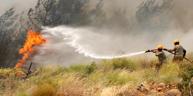 2020'nin ilk 8 ayında 2 bin 114 orman yangını yaşandı