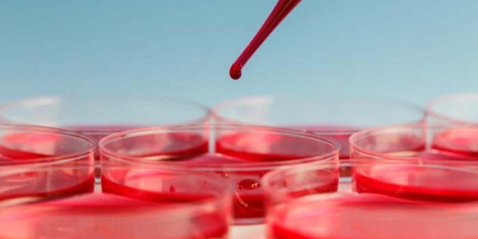 Anemi hangi hastalıkların habercisi?