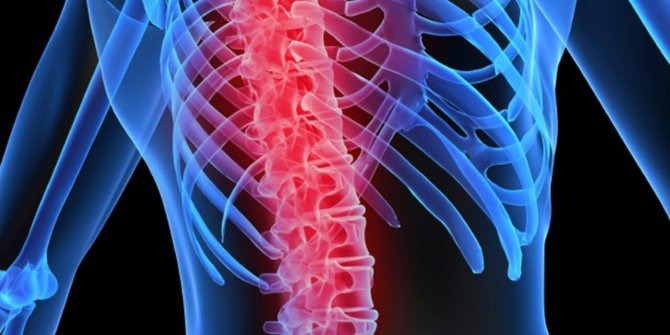 En Büyük Nedeni Trafik Kazası