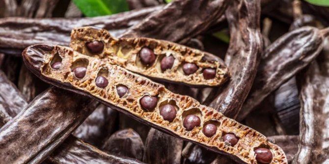 Keçiboynuzu'ndan 30 milyon TL'lik ekonomik katkı