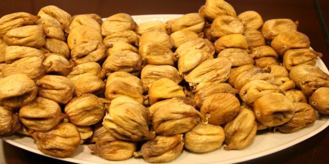 İhracatçılar, kuru incirin kalitesini arttırmak için seferber oldu