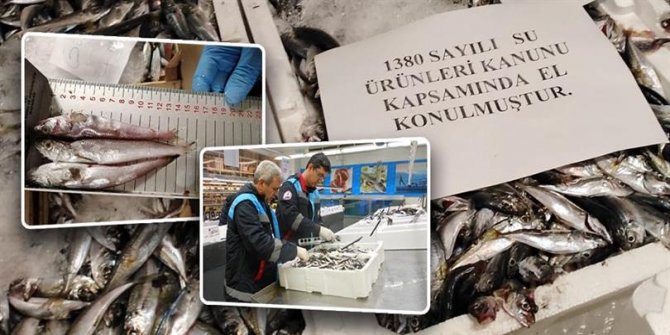 Su ürünlerine sıkı denetim