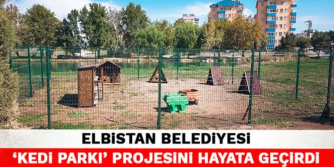 Elbistan Belediyesi, ‘kedi parkı’ projesini hayata geçirdi