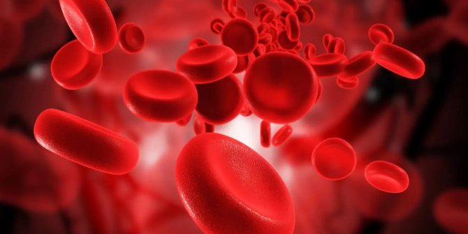 Hematolojik hastalığı olanlar aldığıtedbirleri daha da arttırmalı