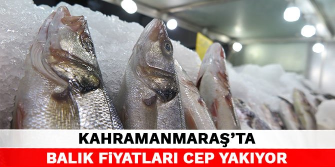 Kahramanmaraş’ta balık fiyatları cep yakıyor