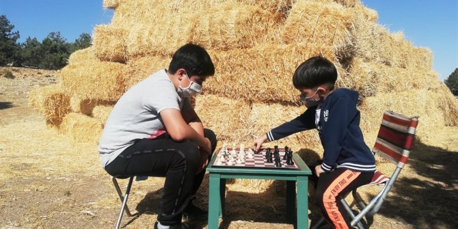 Sokakta satranç var projesine ilgi büyük