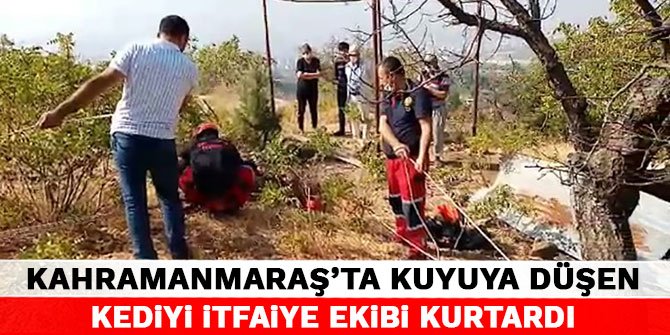 Kahramanmaraş'ta kuyuya düşen kediyi itfaiye ekibi kurtardı