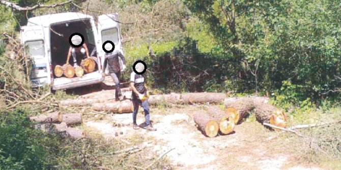 3 bin fotokapan av peşinde