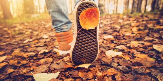 Sonbahar alerjisinden 14 adımda korunun!