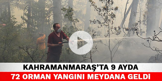 Kahramanmaraş’ta 9 ayda 72 orman yangını meydana geldi