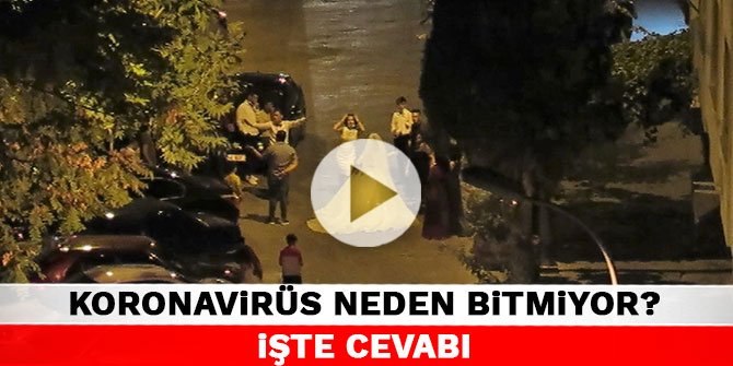 Koronavirüs neden bitmiyor? İşte cevabı