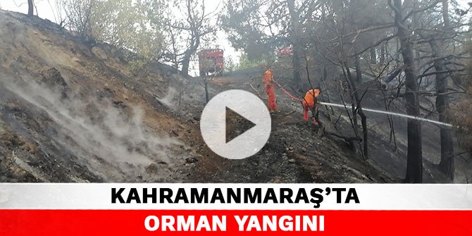 Kahramanmaraş’ta orman yangını