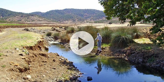 Kahramanmaraş'ta Üçgün Hastalığı ile mücadele ediliyor