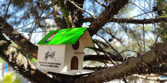 Başkan Mahçiçek: Can dostlarımızın yanındayız