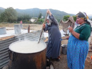 SICAKLAR TARHANACILARA YARADI