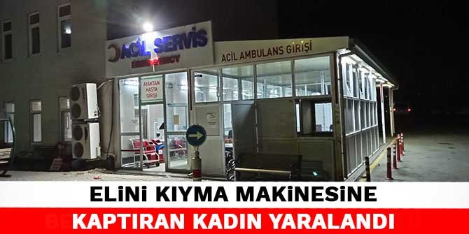 Elini kıyma makinesine kaptıran kadın yaralandı